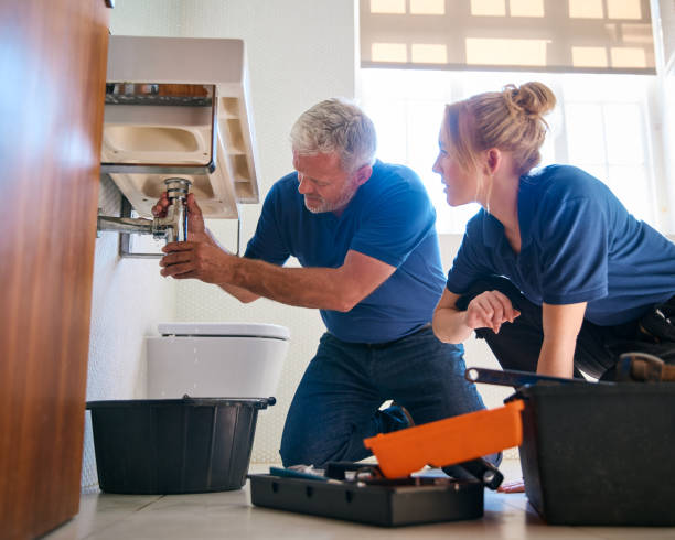 Best Affordable Plumber Near Me  in Meadows Place, TX